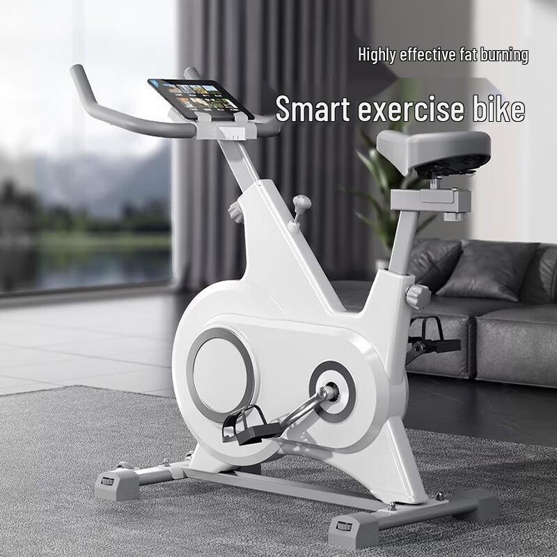 LDIWEI K760 Spin Bike CN plug (adapter included)
