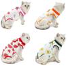 Cat Recovery Suit Kitten Suit E-Collar Alternative for Cats Puppies Small Dogs Abdominal Skin Anti Licking Pajamas Pet Clothing
