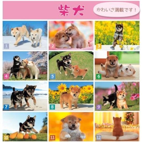Настенный календарь Active Corporation 2027 года Mori Taibei Marugoto Shiba Inu 27ACL-11 Начинается в январе
