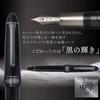 Sailor Fountain Pen Profit Black Luster Medium Point 11-3048-420