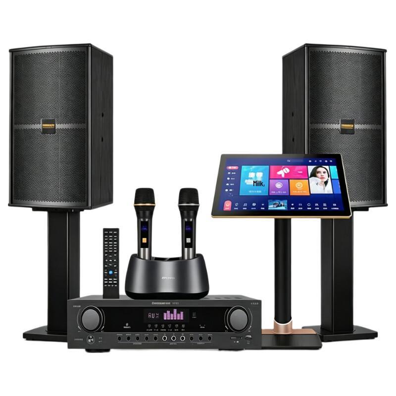 Malata Home KTV Karaoke System with 10-inch Speakers (CN version)