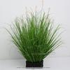 Bionic Caterpillar Green Plant Decoration - High-End Onion Grass for Landscaping and Wedding Decor