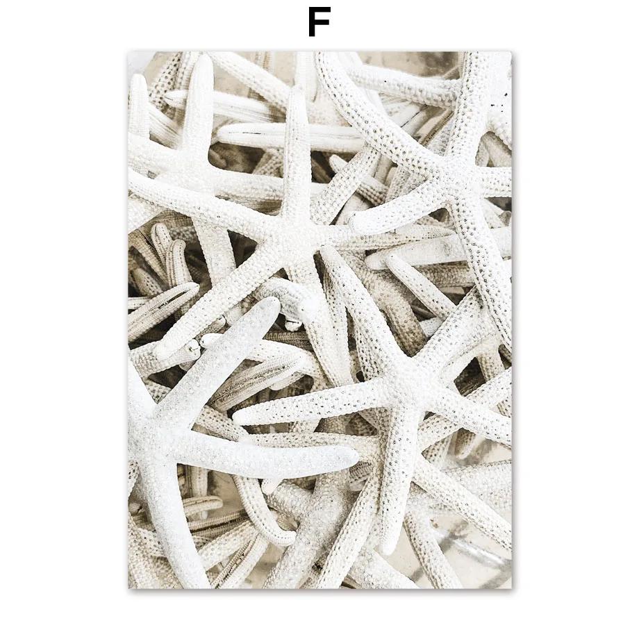 Beach Shell Starfish Bridge And Prints Wall Art Nordic Posters Canvas Painting Wall Pictures For Living Room Marine Style Decor