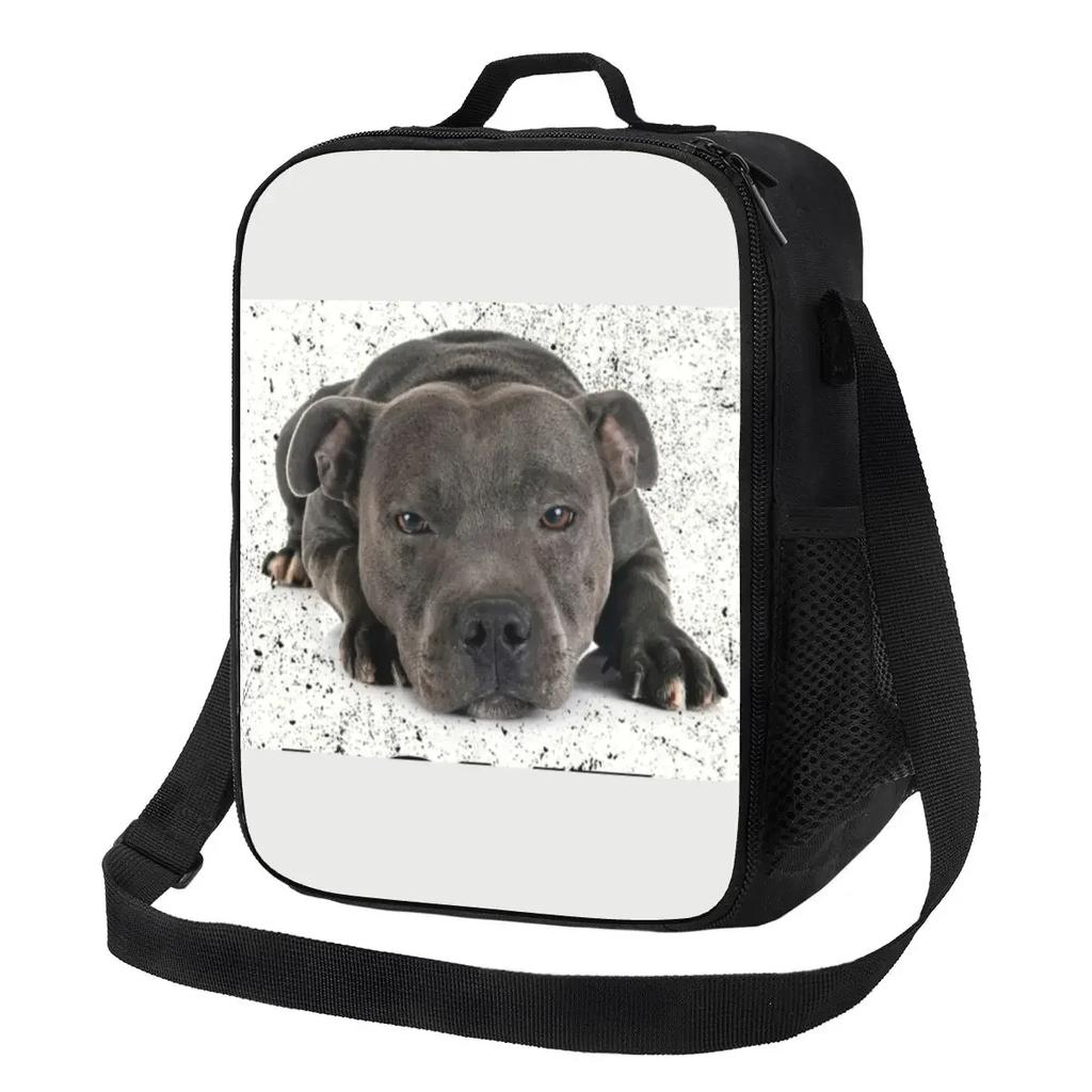 Rainbow Bullies Funny Bull Terrier Insulated Lunch Tote Bag for Dog Resuable Thermal Cooler Food Bento Box Work School Travel