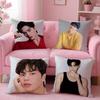 Korean s-Song k-Kang Pillow Case Pattern Printing Pillowcase Living Room Sofa Cushion Cover Bedroom Room Decor