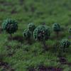 20Pcs Shrub Vegetation Military Scene Sand Table Landscape Tree Model Deor