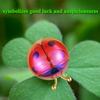 Cute Ladybug Car Air Freshener Vent Clip Auto Interior Perfume Diffuser AC Outlet Fragrance Clip Dashboard Decoration Accessory