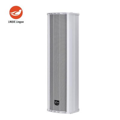 Сетевая IP-колонна для трансляции звука Lingque MS9040, штекер CN (адаптер в комплекте)