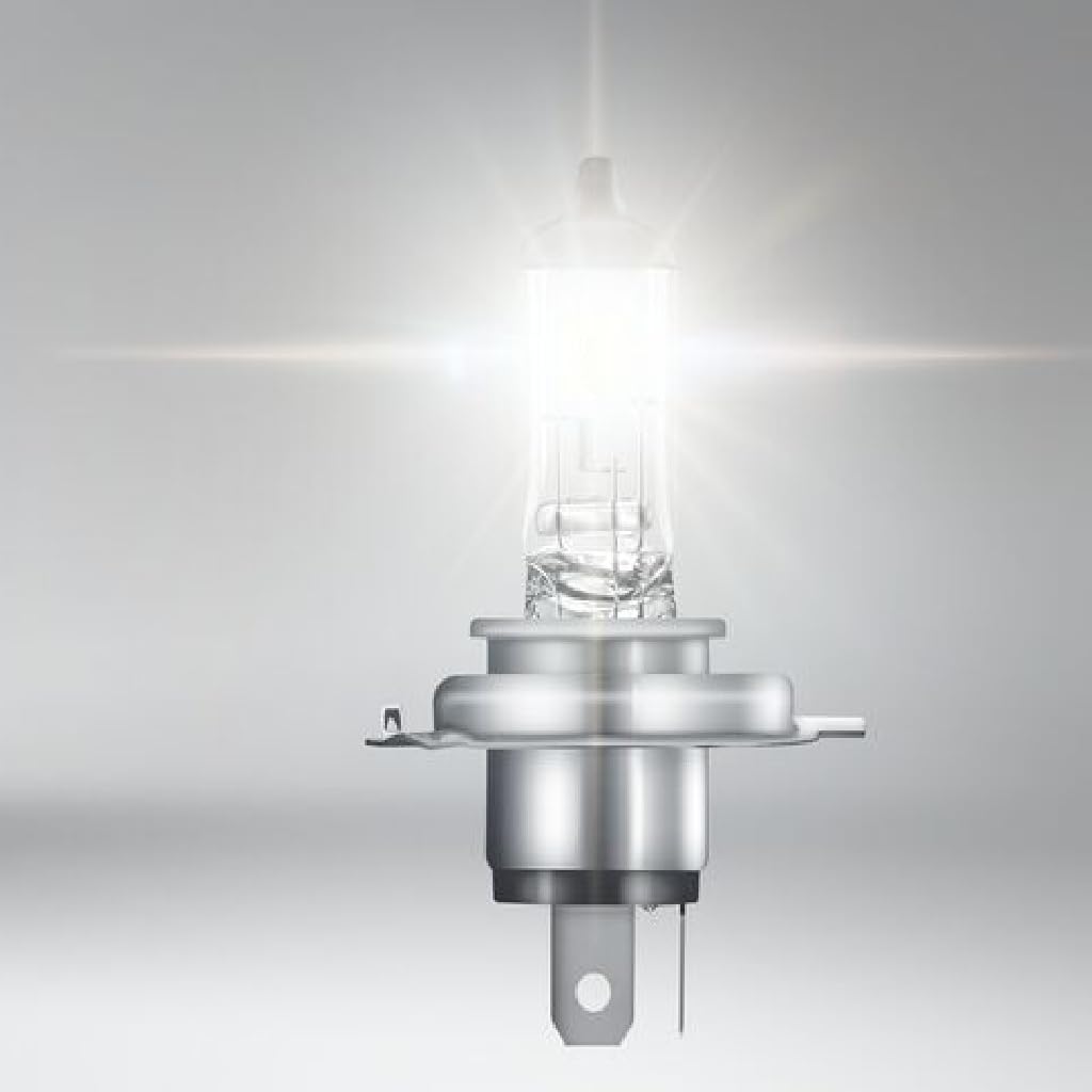 Osram Socket Bulb 100/90 W 62204Sbp