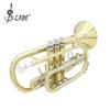 LADE Professional Bb Flat Cornet Brass Instrument with Carrying Case Gloves Cleaning Cloth Brushes