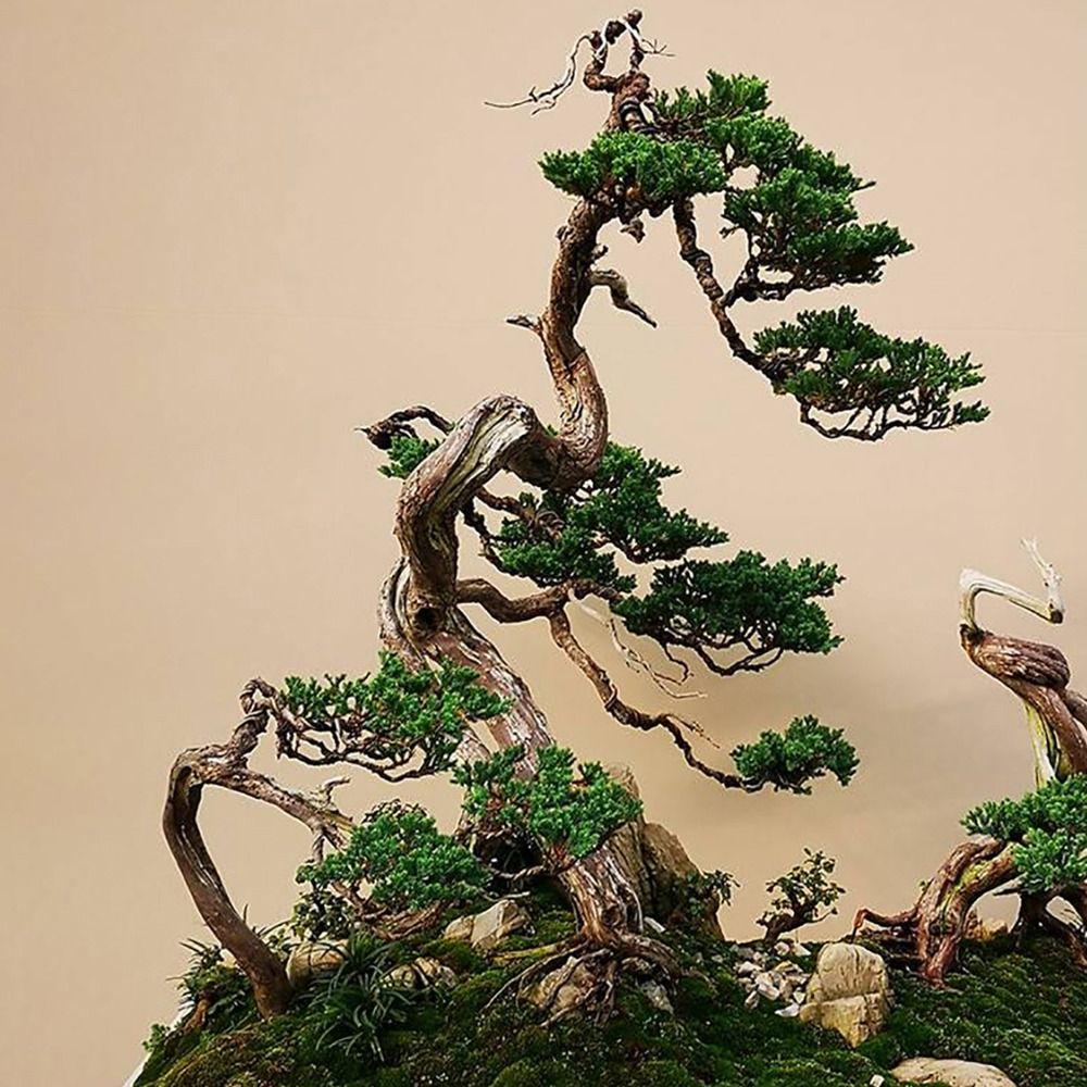 1Pcs Plant DIY Shape Bonsai Aluminum Wires Orchard Garden Tools  Home Use Garden Accessories