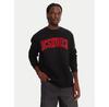 Худи DC Shoes Varsity