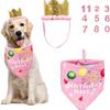 Pet Birthday Hat Scarf Set Dogs Cats Blue Pink Solid Color Triangle Bandana INS Style Festive Accessory