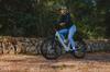 DERUIZ Electrice Bike Quartz SUV Ebike 27.5'' MTB Electric Bike for Adults,250W Motor,48V13.4Ah Battery,Hydraulic Disc Brakes Up to 161KM