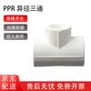 Zhuqin PPR Редукционный тройник для горячей и холодной воды
