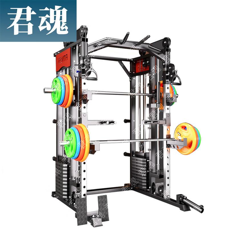 Junhun Smith Machine Integrated Gantry and Fitness Equipment