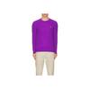Polo Ralph Lauren Solid Logo Круглый вырез Длинный рукав Вязаный свитер Мужской свитер Фиолетовый 710876762-025