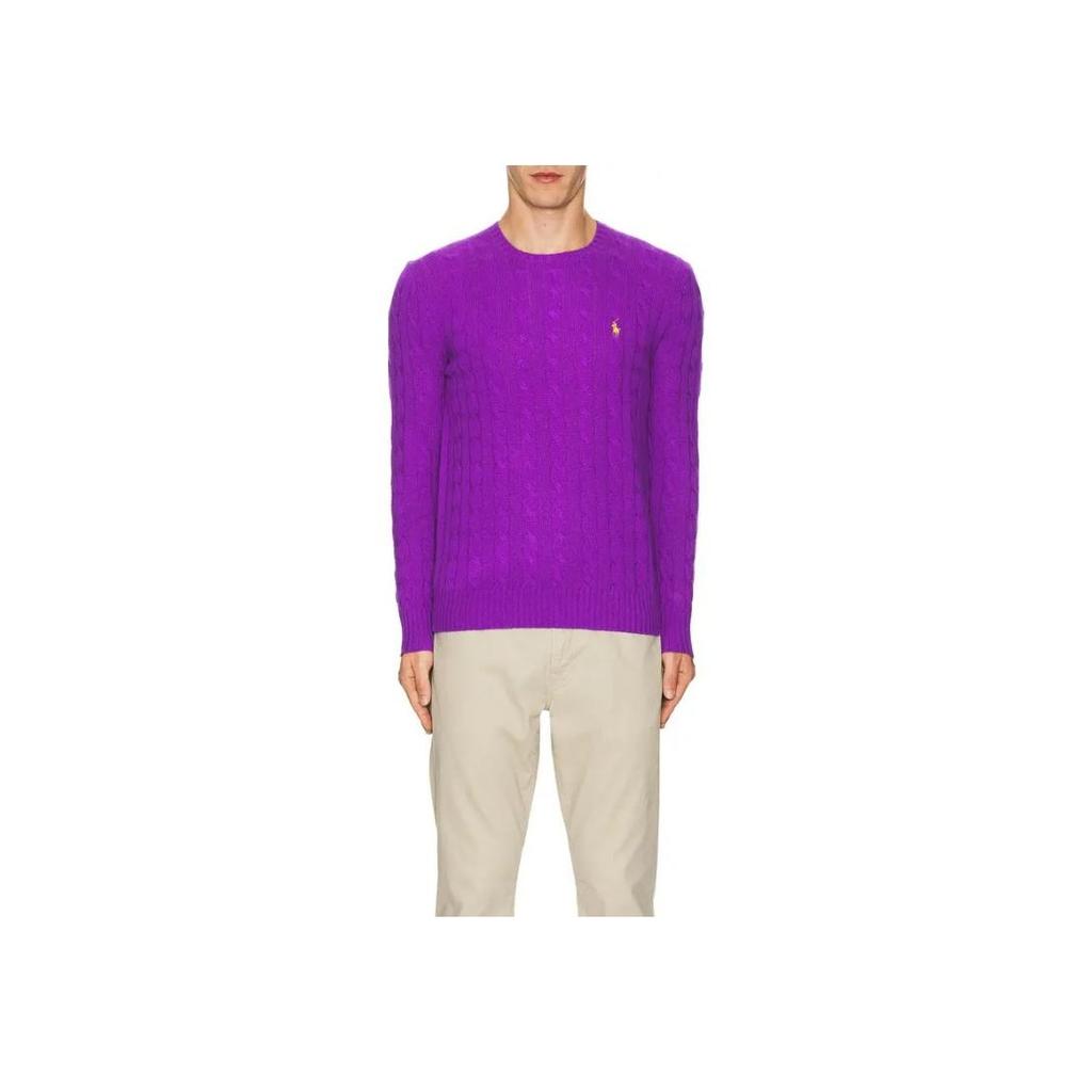 Polo Ralph Lauren Solid Logo Круглый вырез Длинный рукав Вязаный свитер Мужской свитер Фиолетовый 710876762-025