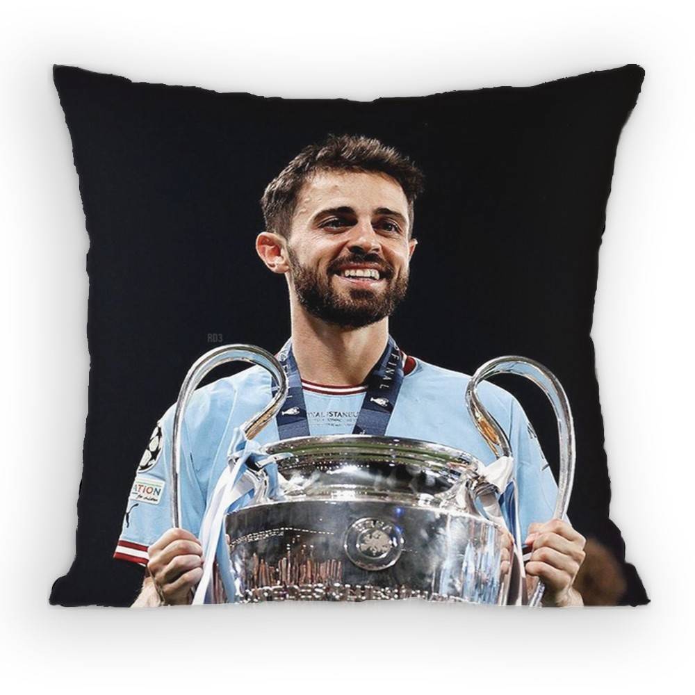 BBernardo SSilva MidCourt Pillow Case Antidustmite Pillowcase Invisible zipper silky short plush Sofa cushion cover
