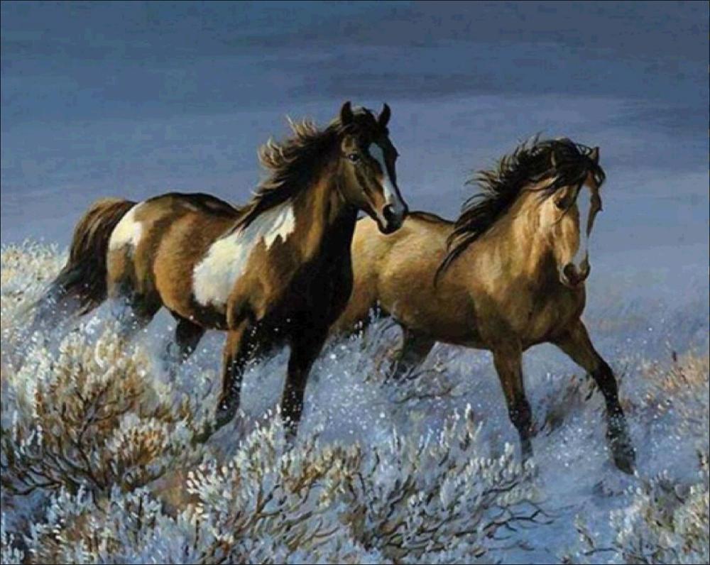 Животное 5D Алмазная картина Полный алмаз Лошадь Сова Попугай Панда Круглая Алмазная мозаика Узор Домашнее украшение Diy Ручная работа Wall St