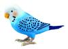 Takara Tomy Daily Chattering Genius Parakeet, Blue, Ages 6 and Up, Brain Training, Healing Partner, Over 1,100 Conversations, 10 Songs