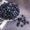 Crafare 60Pcs Artificial Blueberries - Lifelike 0.6" Frosted Fake Blueberry, Fake Fruit for Store Displays, Cake Shops, Vase Fillers & Photography