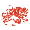 100pcs Orange Carrot Button 4 Sizes DIY Cute Wood Buttons for Crafting Sewing Christmas with 2
