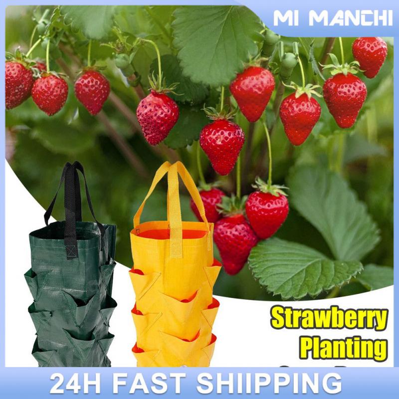 Grow Hanging Bag Семена овощей для посадки Овощные садовые принадлежности Сад Садовые постройки Садовые инструменты для садоводства