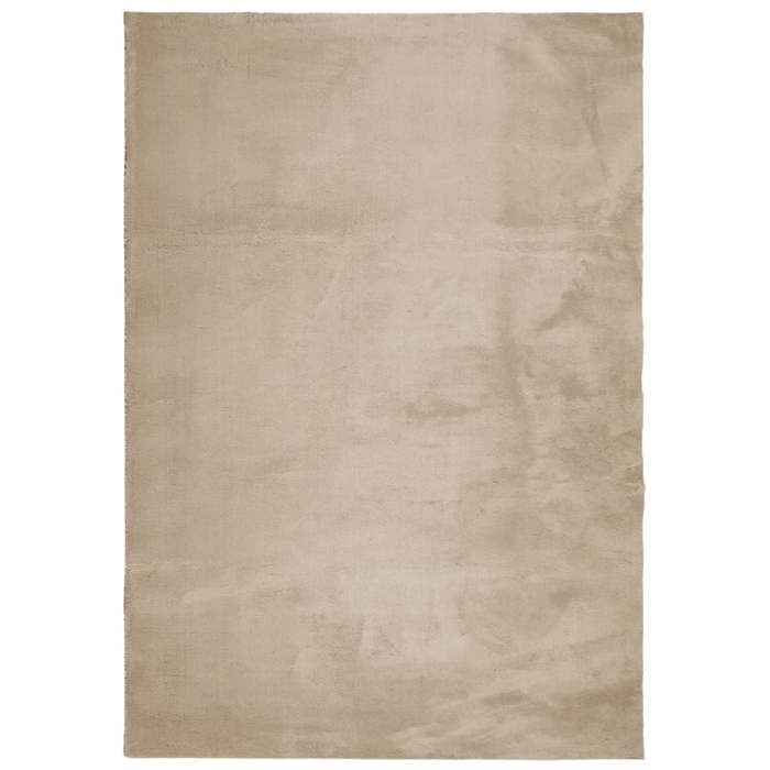 VidaXL Tapis à Poils Courts Doux et Lavable, Moquette de Sol, Tapis de Zone, Carpette de Salon Salle de Séjour Chambre, 375060