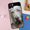 Чехол для мобильного телефона Apple iPhone15, чехол для мобильного телефона Weimar Dog, окрашенный чехол с защитой от падений, чехол для мобильного телефона Huawei с защитой от падений.