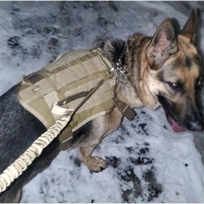 Tactical Dog Harness Military Pet German Shepherd K9 Pet Training Vest Dog Harness and Leash Set for Small Medium Large Dogs