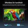 FEELWORLD F5 Pro V4 Комплект полевого монитора для DSLR-камеры с сумкой для переноски и кабелем Micro HDMI 3D LUT 1080P 4K HDMI Сенсорный видеомонитор с внешним