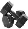 Набор из 2 гантелей Kronos Dumbbells 2x6 кг