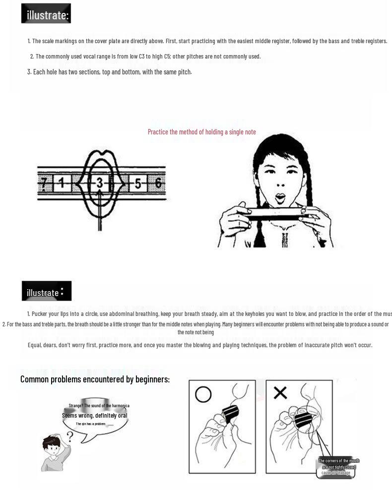 Начинающая 24-дырочная диатоническая губная гармошка C-мажор для взрослых и детей - Идеальный подарок для самостоятельного обучения