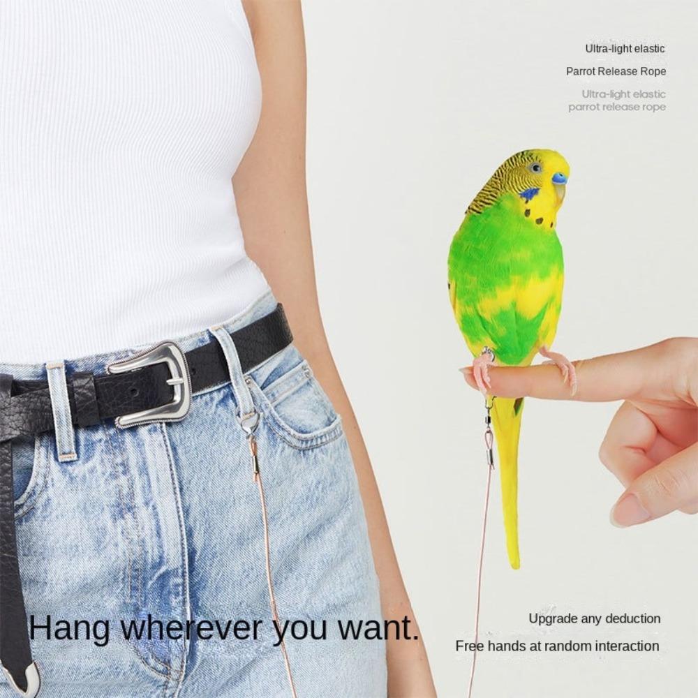 Металлическая пряжка Поводок для дрессировки попугаев Противополетная ножная цепь для птиц Поводок для выгула попугаев для птиц