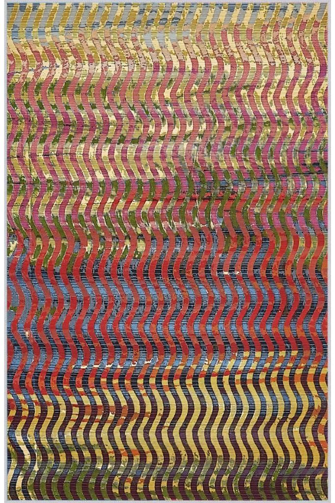 Rovigo Home Моющийся ковер с принтом RVG1735