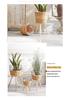 Nordic Cattail Woven Flower Basket on Wooden Stand for Indoor Decoration