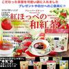 Set of 6 Fruit Tea Bags (Aomori Honey Apple, Shizuoka Benihoppe, Yamanashi White Peach, Yorii Mandarin Orange, Setouchi Lemon, Tokushima Yuzu Green