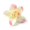 10/20Pcs Artificial Orchid Head Fake Flower Used for Women and Girls To Hairpin DIY Bridal Wedding Decoration Wreath Accessories