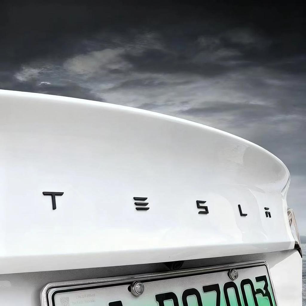 ABS Наклейка на багажник автомобиля Аксессуары Для Tesla SpaceX Model 3 Highland 2023 Model S Model X Model Y Model Y-Eur Roadster Bonina Coi