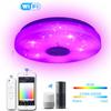 Doodle APP Intelligent Control Remote WiFi Modern Simple Bluetooth Music Bedroom Light LED Ceiling Light