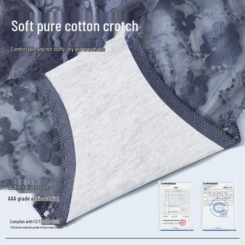 Tingmei Lace High-Waist Seamless Breathable Underwear (3-Pack)