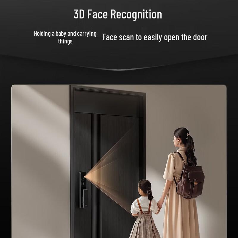 DESMAN Q2FV Full-Automatic Smart Door Lock