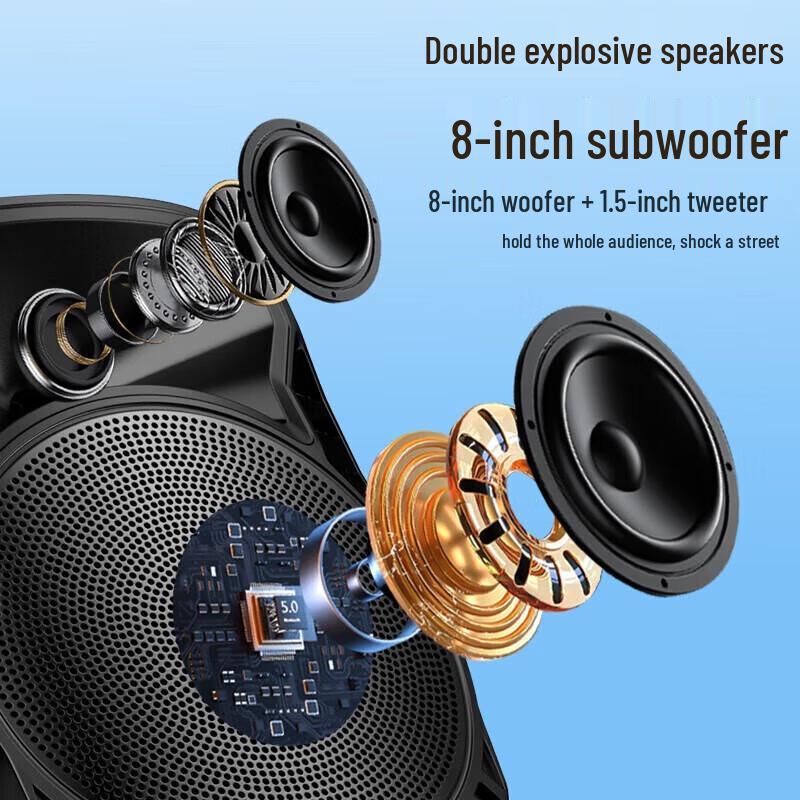 Soaiy SA-809 8-inch Portable Outdoor KTV Speaker