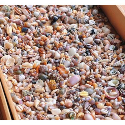 Миниатюрные украшения из ракушек ручной работы: Рамка для фото из ракушек, Коробка для хранения или Декор для аквариума