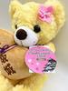 Local Bear Osaka Castle 3 Plush Toy S Osaka Limited Edition Bear Fujini Makoto