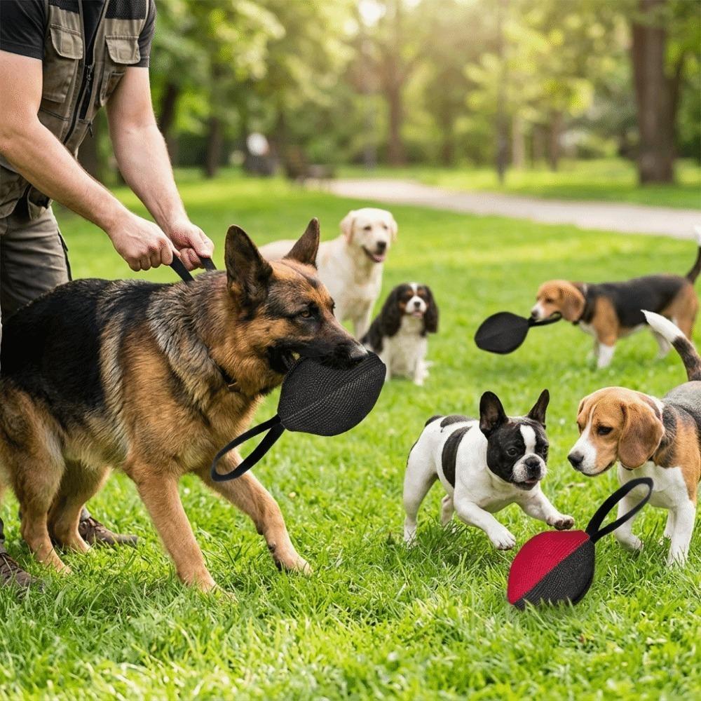 Rugby Shaped Multi-color Rugby Bite Stick German Shepherd Malinois Toy Daily Interactive Play