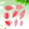Embossing 30PC Dried Flowers Phone Case DIY Ornament Accessories Handmade Material Natural Diamond Vein Making Embossing
