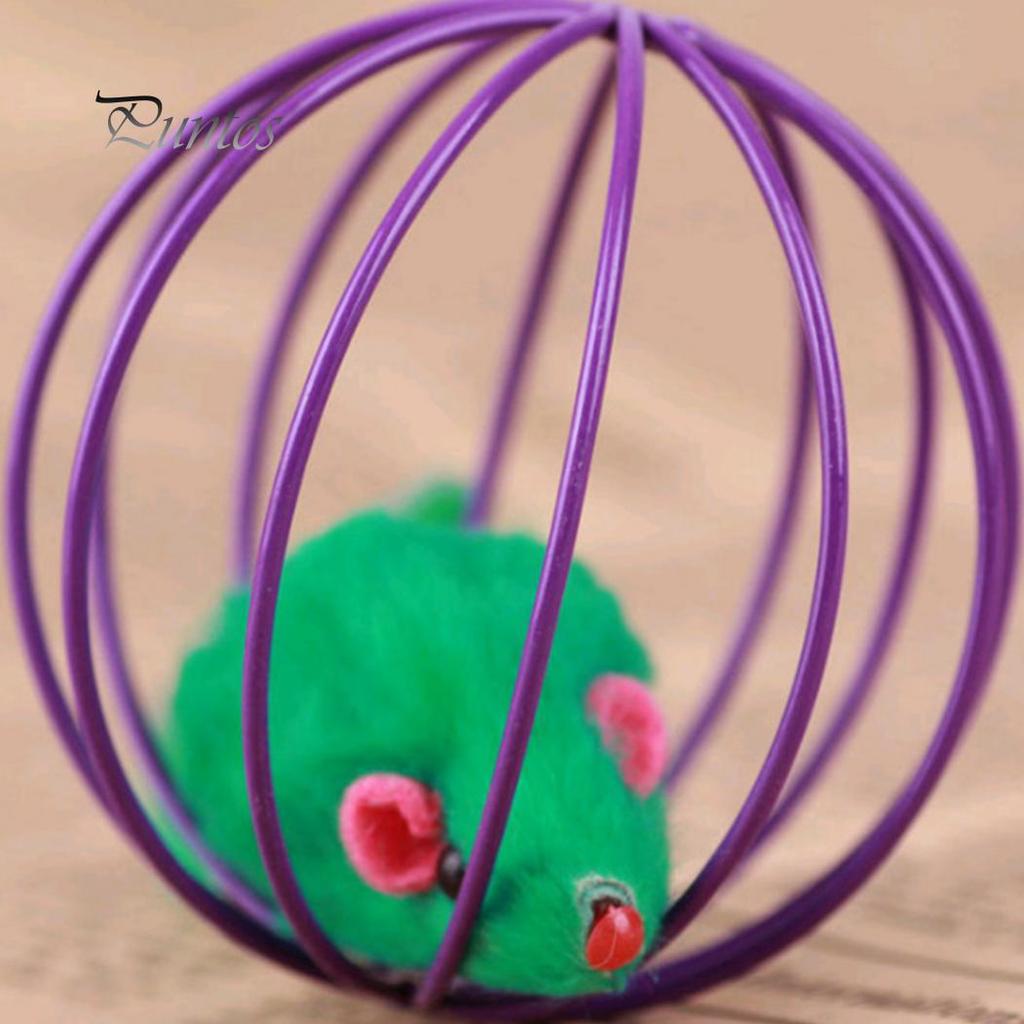 Mouse Rat In Cage Ball Pet Play Playing Catch Toy