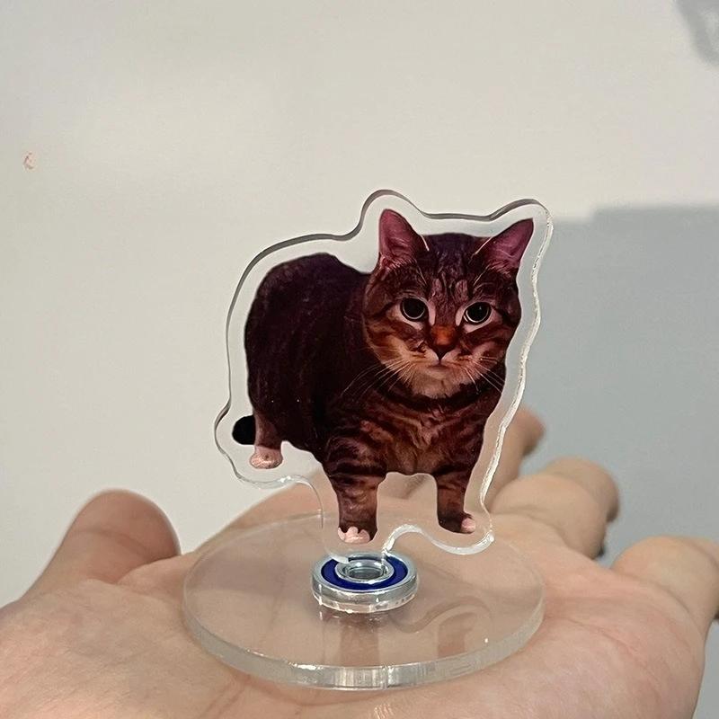 Cute Cat NEW Pattern Acrylic 360° Rotating Kitten Stands for Desk Decoration Home Decor Car Motorcycle Kids Adults Gifts